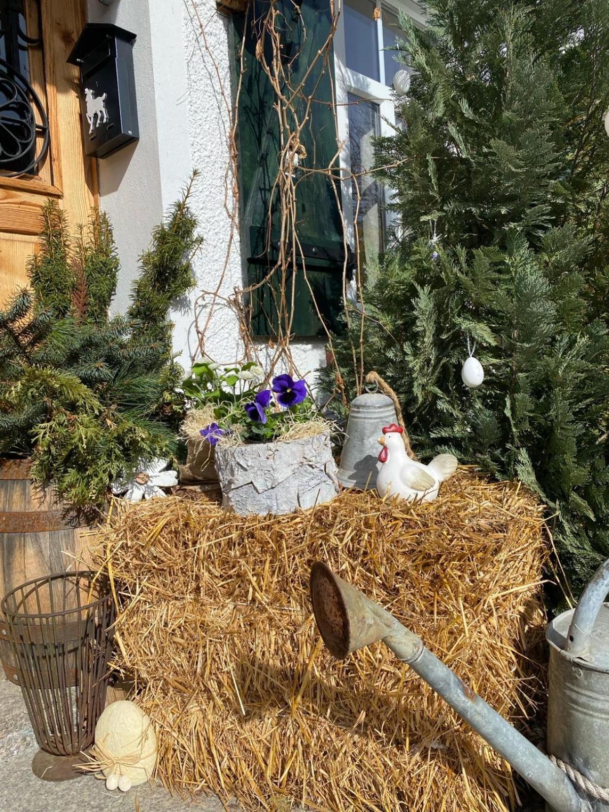 Apartamenty Sudeckie Nad Zalewem I Sosnówka Dış mekan fotoğraf